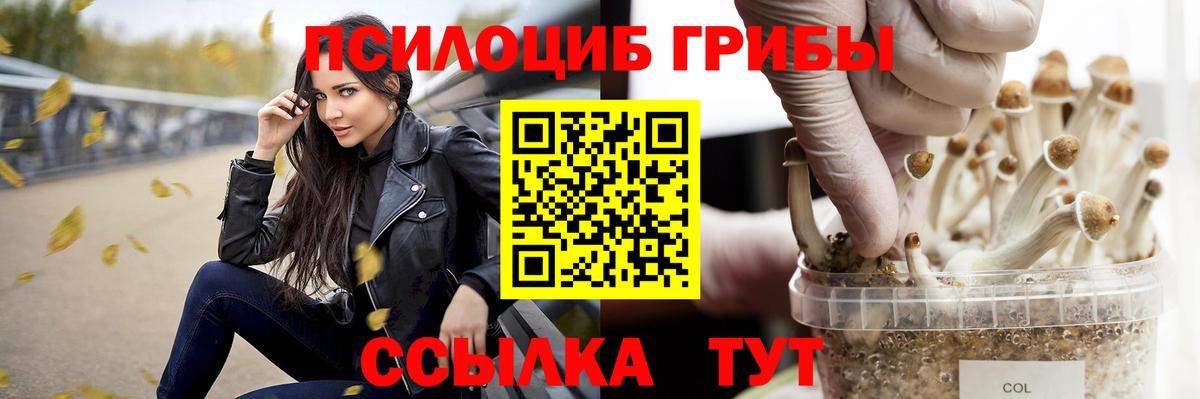 Галлюциногенные грибы Psilocybe  Галлюциногенные грибы Psilocybine cubensis  Лабытнанги  Вход с VPN 